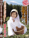 全国熟女捜索隊 田舎の茶畑でお茶摘みするお母さん－愛野主税のDVD画像