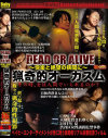 ���¹�����DVD����