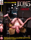 ���¹�����DVD����