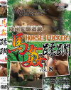 �ϴ����� No8��-��DVD����