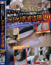 OL�����̵�����ʥ֥饦���η�֤��餳�ܤ줿���ꥳ�������� No20��-��DVD����