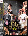 獣皇BEST No2－心夏ミルク・さくらもも・白石乃衣・小笠原咲・羽沢愛・真剃M子・沖山りさ・上原あずさ・楠本ゆかりのパッケージ画像