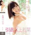 尾上若葉のDVD画像