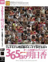 365日の明日香－市ノ瀬明日香のDVD画像