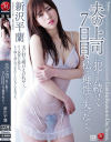 新沢平蘭のDVD画像
