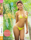 知念亜弥芽のDVD画像