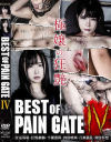 BEST OF PAIN GATE No4－スクラムのDVD画像