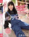 江本あやみのDVD画像