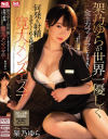 架乃ゆらのDVD画像