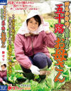 群馬・伊勢崎で白菜を作る五十路のお母さん 榊せり－榊せり