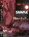 欲情のプリズン 侵入者－-のDVD画像