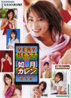 VERY BEST OF 如月カレン－如月カレンのDVD画像