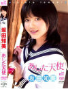 あした天使－坂田知美のDVD画像