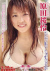 手束真知子のDVD画像