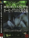 新宿某巨大駐車場 カーセックスの穴場盗撮－-のDVD画像