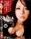 スパニッシュ系美女 安西カルラ Viva La Carla－安西カルラのDVD画像