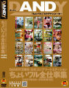 DANDY２周年公式コンプリートエディション ちょいワル全仕事集－-のDVD画像
