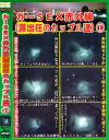 カーSEX赤外線 露出狂のカップル達－-のDVD画像