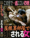 この世で一番エロい姿態 屋根裏部屋で犯される女－TSUNAMI優・東野愛鈴・七瀬かすみのDVD画像