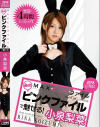 小泉梨菜のDVD画像