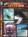 那覇ダイバービーチトイレ 小便＋大便120分 No1－-のDVD画像