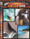 那覇ダイバービーチトイレ 小便＋大便120分 No6－-のDVD画像