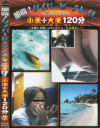 那覇ダイバービーチトイレ 小便＋大便120分 No7－-のDVD画像