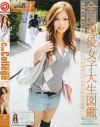 夏川えりのDVD画像