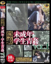 隠撮 ○成年・学生青姦 No1－-のDVD画像