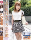 Can College No51－-のDVD画像