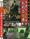 盗撮JK愛好家 学園内SEX乱れた性春－-のDVD画像