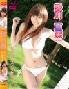 トゥルースインサマー－愛川夏実のDVD画像