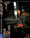 秋川ルイのDVD画像