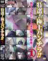 特選 極上パンチラ－-のDVD画像