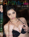 芸能人 原紗央莉 時には狂ったメスのように－原紗央莉のDVD画像