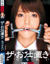 ザ・お仕置き－みづなれいのパッケージ画像