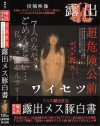 投稿映像 7人の露出狂女露出メス豚白書－-のDVD画像