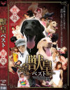 獣皇ベスト－長谷川ちひろ・相澤唯衣・片瀬マリア・中川亜衣里・杉山圭・春妃いぶき・伊藤青葉のDVD画像