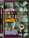 覗き愛好家 激撮カーセックス盗撮24時 No2－-のDVD画像