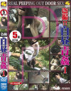 盗撮 白昼青姦－-のDVD画像