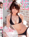 新人パイパン聖美○女240分スペシャル 初花 hatsuhana－七沢るりのDVD画像