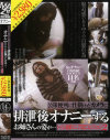 公衆便所に仕掛けたカメラに排泄オナニーするお姉さんの姿が No2－-のDVD画像