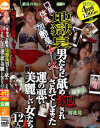 琥珀うたのDVD画像