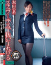スチュワーデスで抜いてあげる 堀内美希－堀内美希のDVD画像