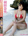 やわらかな曲線 羽田奈央－羽田奈央のDVD画像
