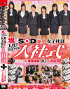祝入社 2013年度 SOD新人女子社員 入社式+はじめてのAV 業務体験に180分大赤面SP--のDVD画像