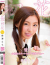 新人 小動物系ガールのプチ調教デビュー初花-hatsuhana- 綾瀬とも－綾瀬とものDVD画像