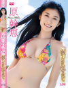 原幹恵のDVD画像