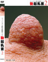 佐々木恋海のDVD画像