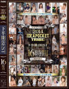 PERFECT YEAR 2014 IDEAPOCKET TRIBE 下半期 BEST 16時間－初音みのり・希志あいの・並木優・希崎ジェシカ・希美まゆ・天海つばさ・美雪ありす・立花美涼・卯水咲流・希島あいり・逢坂はるな・美波なみ・塔堂マリエ・Shelly・桜木優希音のDVD画像